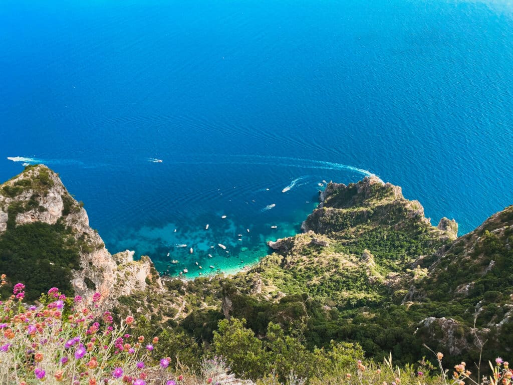 Breathtaking aerial view from Monte Solaro summit of turquoise waters, rocky Capri coastline, boats, and pink wildflowers