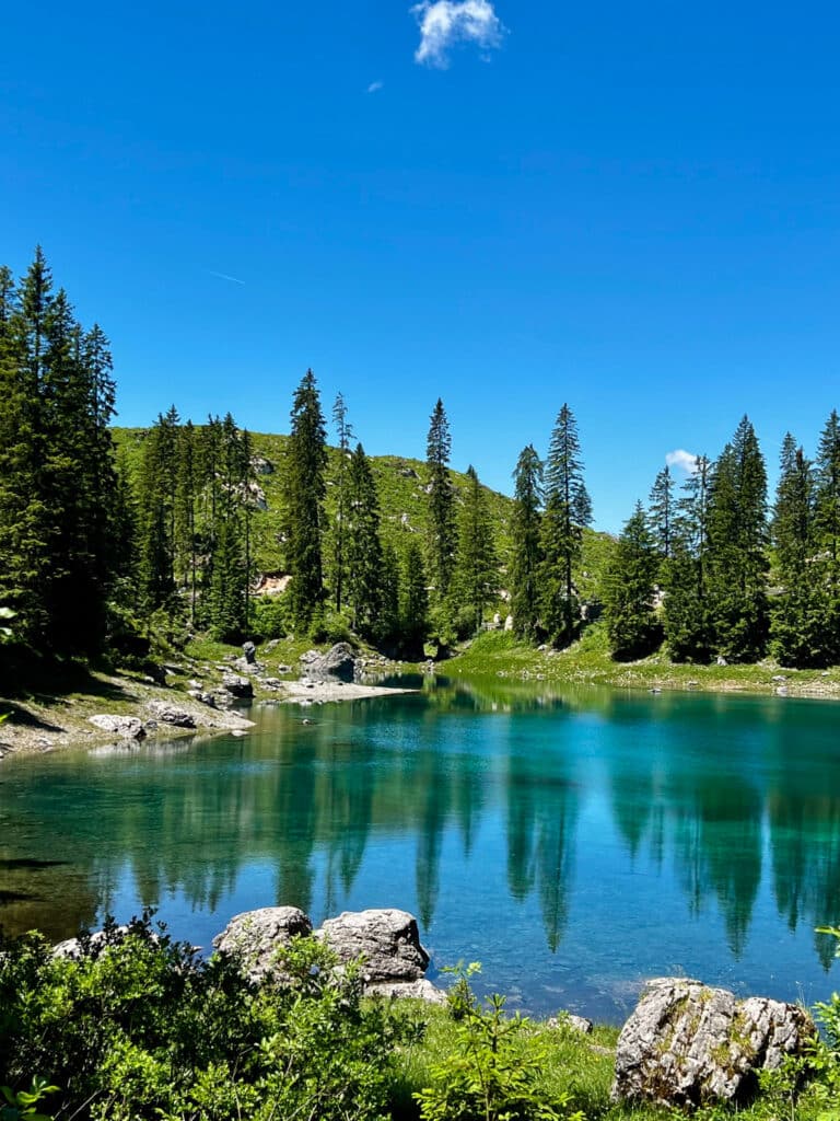 Small turquoise alpine pond ringed by pine forest on the hiking trail near Lago di Carezza in the Italian Dolomites