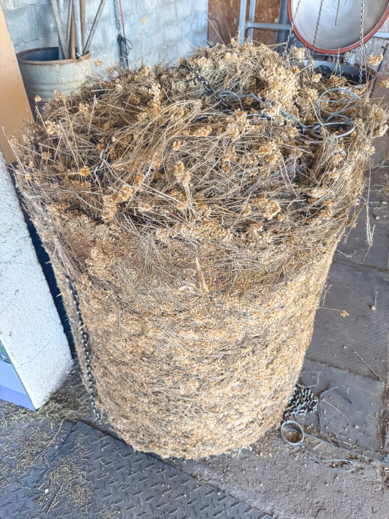 Bale of dried lavender stalks ready for distillation at a working lavender distillery on the Sault plateau