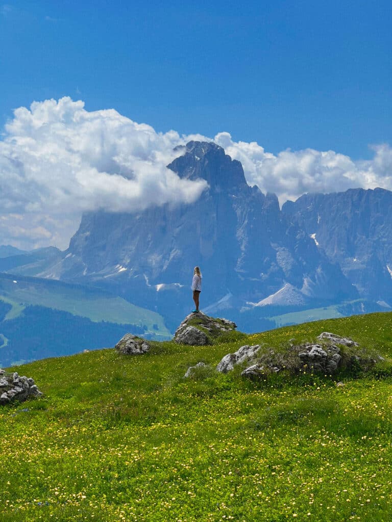 A person standing on a boulder in a wildflower meadow gazing at the Sassolungo massif, Seceda, Italy