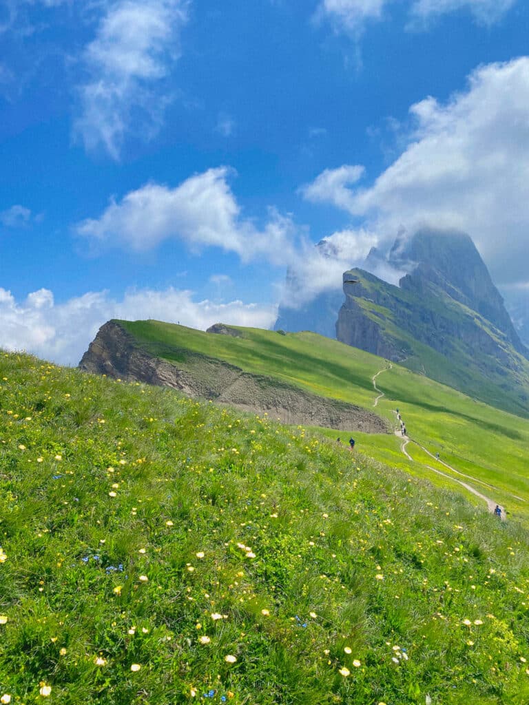 Hikers climbing a wildflower meadow trail toward a mist-topped Seceda peak, Dolomites, Italy