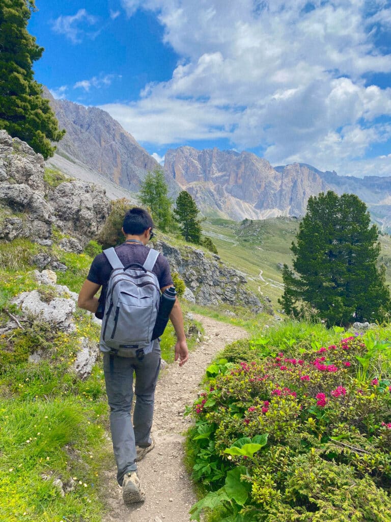 A hiker descending a rocky trail past pink alpine flowers and pines below the Dolomite peaks, Seceda, Italy
