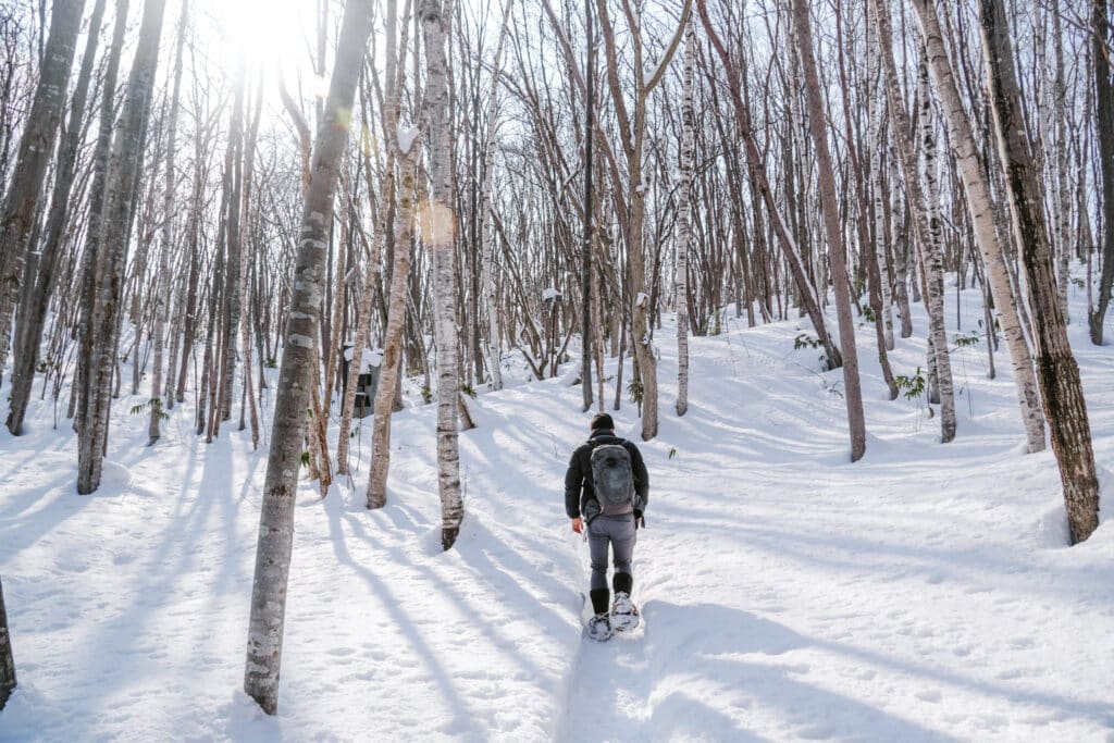 Snowshoer with backpack following a sun-dappled trail through the winter woods of Sapporo Art Park