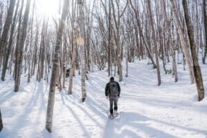Snowshoer with backpack following a sun-dappled trail through the winter woods of Sapporo Art Park