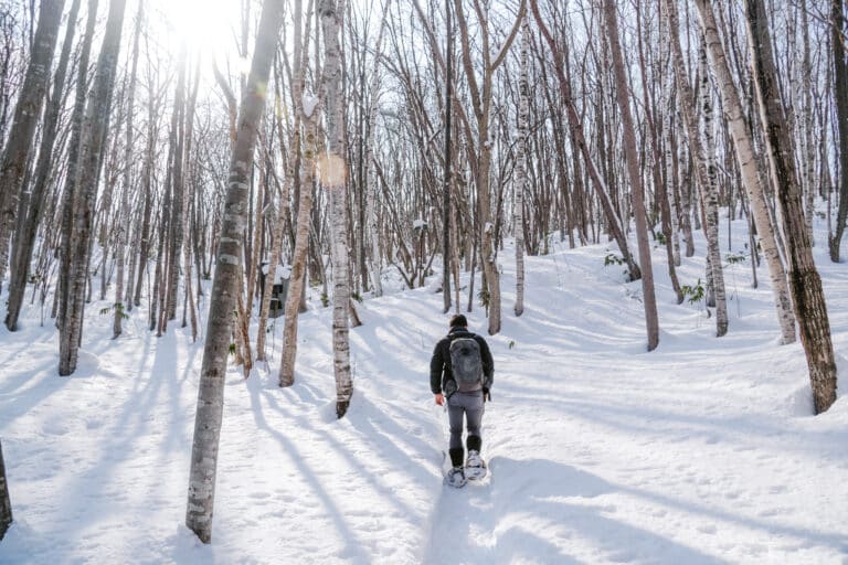 Snowshoer with backpack following a sun-dappled trail through the winter woods of Sapporo Art Park