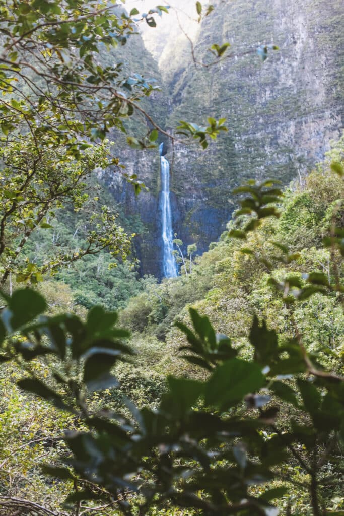 Your first glimpse of the tall Hanakāpīʻai Falls framed by lush jungle foliage at the end of the Kalalau Trail, Hāʻena State Park, Kauaʻi