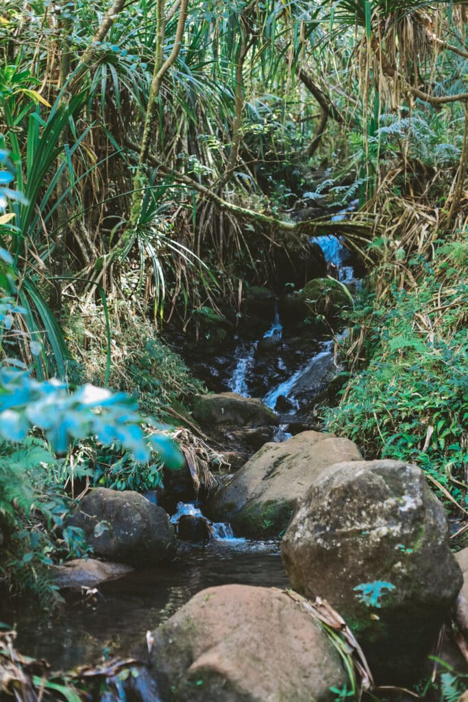 Rocky jungle stream crossing along the Hanakāpīʻai trail near Hāʻena State Park, Kauaʻi