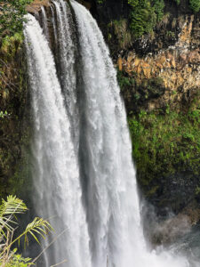 Close-up of Wailua Falls thundering down a mossy basalt cliff with spray, framed by a palm frond, Kauai