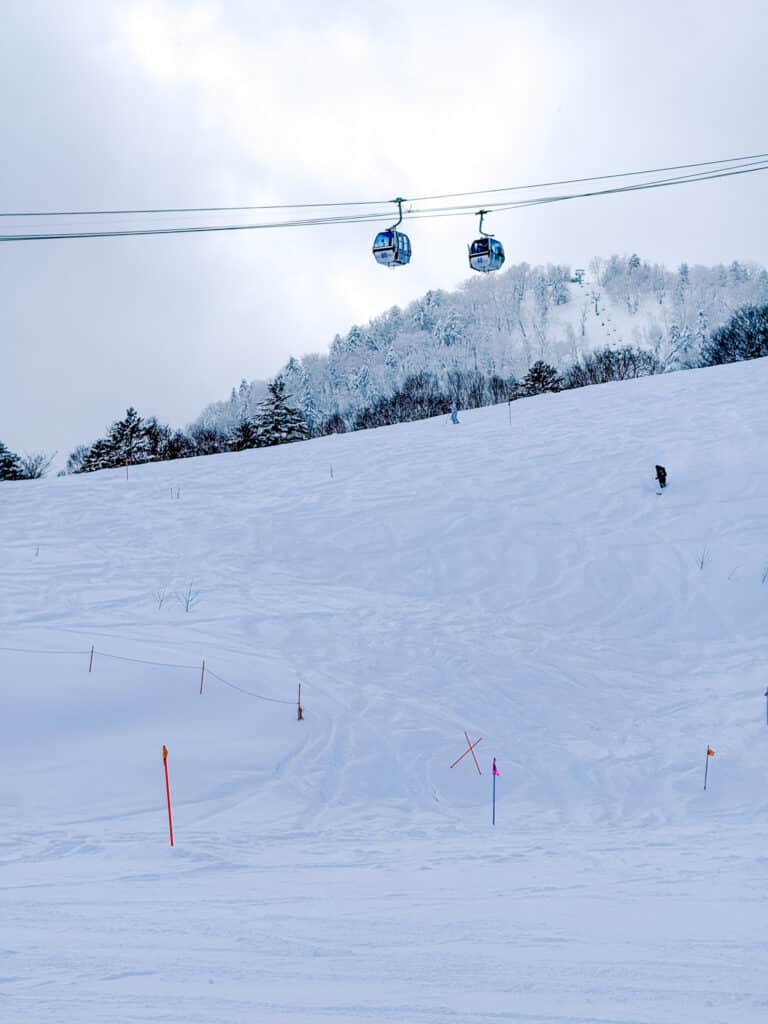 Gondola cabins gliding above a ski run lined with frosted trees at Furano Ski Resort, Hokkaido, Japan