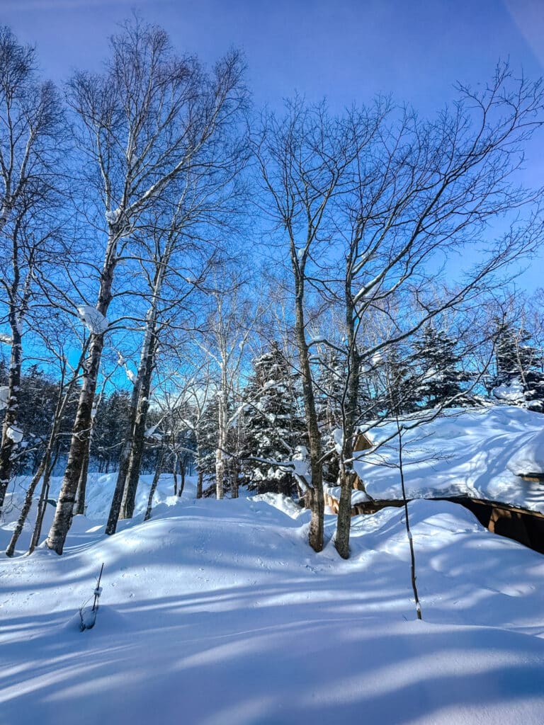 Mori no Ryotei Biei surrounded by snow-covered trees in Shirogane Onsen, Hokkaido.